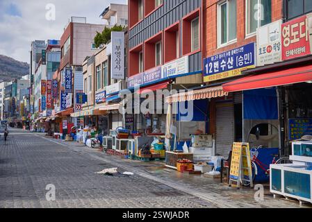 Jagalchi Fischmarkt der größte Fischmarkt in Busan Südkorea am 15. Februar 2023 Stockfoto