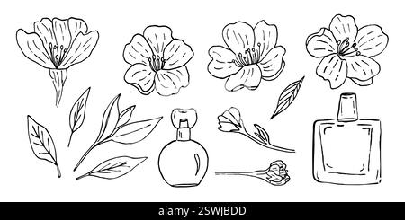 Ein Set aus Kirschblüten und Parfümflaschen, handgefertigt mit einem Liner. Vektor-Illustration eines japanischen blühenden Baumes im Vintage-Stil und duftenden Parfums. Stock Vektor