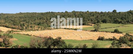Strohballen auf Getreidefeldern in der Nähe von Weinbergen. Stockfoto