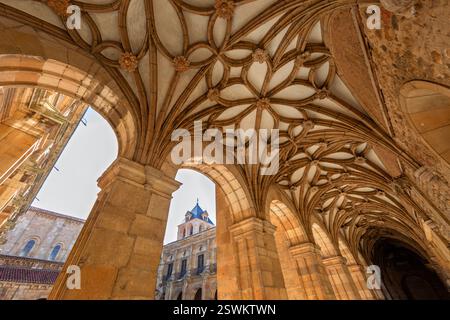 Kreuzgang von San Isidoro de Leon Kirche, Leon, Spanien Stockfoto