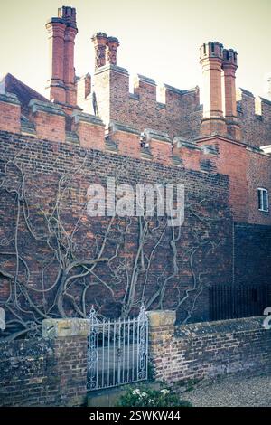 Ivy-bedeckte Backsteinmauer des Hampton Court Palace, Großbritannien, mit einem dekorativen Tor. Ein historisches Wahrzeichen. Stockfoto
