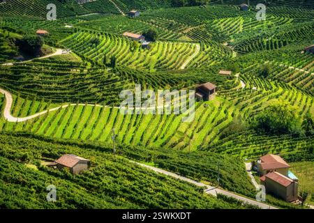 Prosecco Hills, Weinberge mit Panoramablick aus der Luft und einige Hütten. Valdobbiadene, Provinz Treviso, Region Venetien, Italien, Europa. Stockfoto