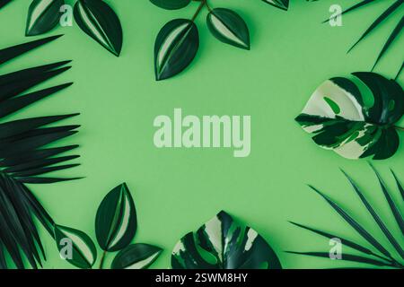 Bunte tropische Blätter auf pastellgrünem Hintergrund. Minimales sommerliches Exotik-Konzept mit Kopierraum. Kreatives Design. Grenzanordnung. Stockfoto