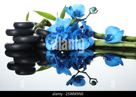 Wunderschöne blaue Orchideenblüten, Bambusstiele und Spa-Steine auf Spiegeloberfläche vor weißem Hintergrund Stockfoto