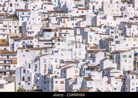Casares Stadt in Andalusien, Spanien, Europa. Dichte Ansammlung weiß getünchter Gebäude, die eine malerische architektonische Landschaft schaffen. Stockfoto