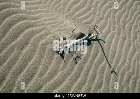 Ein verwitterter Zweig, der teilweise in strukturiertem Sand vergraben ist und wellige Muster erzeugt. Die natürliche Beleuchtung hebt die sandige Oberfläche und die Struktur der Zweige hervor Stockfoto