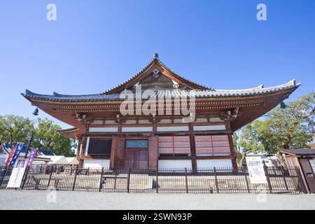 Die hölzerne Pagode des Toji-Tempels mit wunderschönen Ahornblättern, Kyoto, Japan. Stockfoto