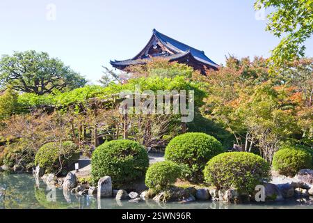 Die hölzerne Pagode des Toji-Tempels mit wunderschönen Ahornblättern, Kyoto, Japan. Stockfoto