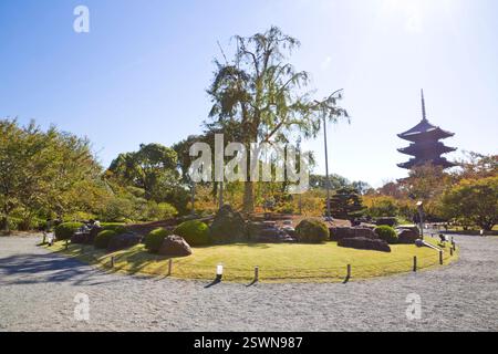 Die hölzerne Pagode des Toji-Tempels mit wunderschönen Ahornblättern, Kyoto, Japan. Stockfoto