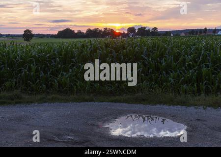 Sonnenuntergang mit Wolken auf einem Feld mit Reflexion in einer Pfütze, Bayern, Deutschland, Europa Stockfoto