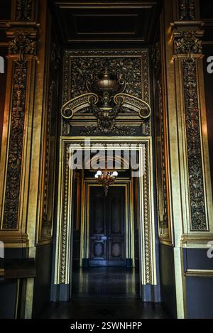 Verzierte Tür im östlichen achteckigen Salon des Palais Garnier - Paris, Frankreich Stockfoto