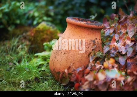 Blumentopf, natürlicher Garten und Ruhe in der Botanik, umweltfreundliche Umgebung und Gras für Wachstum. Wald, leerer Tonbehälter und öffentlicher Gartenbaupark Stockfoto