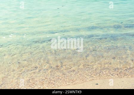 Sanfte Wellen schlagen an einem ruhigen Sandstrand unter klarem Himmel in einem tropischen Paradies. Stockfoto