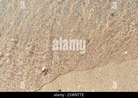 Sanfte Wellen schlagen sanft gegen ein Sandstrand und schaffen eine ruhige tropische Atmosphäre. Stockfoto