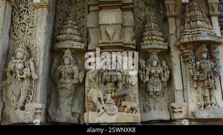 Wunderschön geschnitzte Idole der hinduistischen Gottheiten am Chinnakeshwa Tempel, Lord Shiva Tempel aus dem 12. Jahrhundert, Mosale, Hassan, Karnataka, Indien. Stockfoto