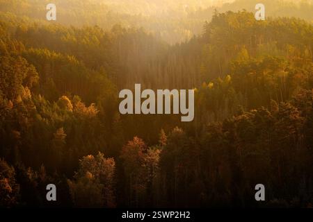 Tschechische Sonnenaufgangslandschaft, Orangenbäume mit Nebel. Wunderschöne nebelige Landschaft. Kalter nebeliger Morgen mit Sonnenaufgang in der Dämmerung in einem Herbsttal von Böhmen Stockfoto