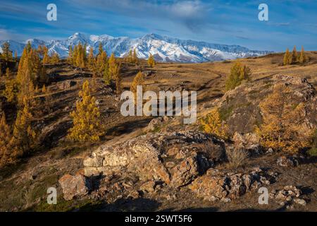 Schneebedeckte Berge mit goldenen Herbstbäumen und felsiges Gelände unter klarem blauen Himmel Stockfoto