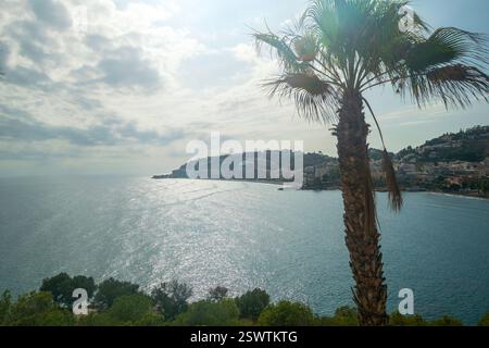 Blick auf die Stadt Almunecar, vorbei an einer großen Palme mit Blick auf den Horizont über das Meer unter einem trüben blauen, dramatischen Himmel. Stockfoto