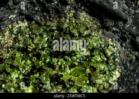 Nahaufnahme kleiner, lebendiger grüner Peridot-Kristalle in Edelsteinqualität mit ein paar dunklen Olivinen-Kristallen Stockfoto