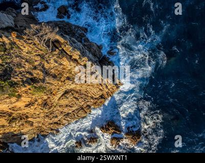 Luftaufnahme von Punta de Canyers vor Cala Canyers, an der Costa Brava (Baix Empordà, Girona, Katalonien, Spanien) ESP: Vista aérea de la Punta Canyers Stockfoto