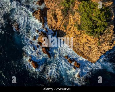 Luftaufnahme von Punta de Canyers vor Cala Canyers, an der Costa Brava (Baix Empordà, Girona, Katalonien, Spanien) ESP: Vista aérea de la Punta Canyers Stockfoto