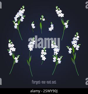 Weiße Vergissmeint-nicht Blumen Vektor-Illustration. Set mit Vintsge Frühlingsblumen Element. Stock Vektor
