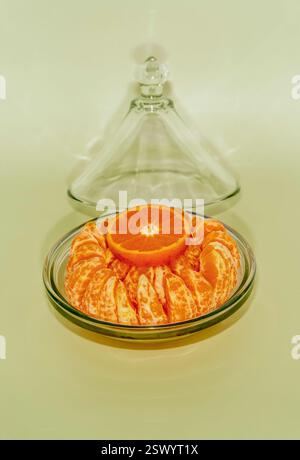 Elegante Zitrusanordnung mit geschälten Mandarinensegmenten und einer Orangenscheibe in einer Glasschale mit transparenter Kuppel auf minimalistischem grünem Hintergrund Stockfoto