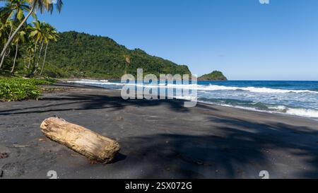 Rosalie Bay Öko-Resort Stockfoto