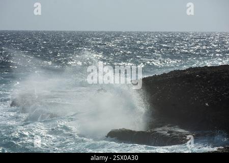 Wellen brechen auf den Felsen von Curacao Stockfoto