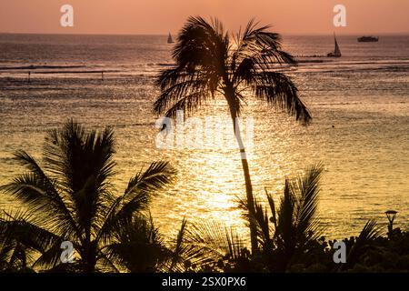 Die Palme ist vom Meer umgeben. Die Sonne untergeht und das Wasser ist ruhig Stockfoto