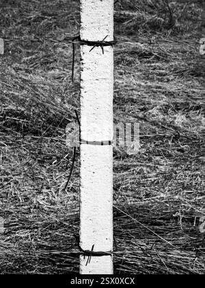 Weiße Betonsäule mit Stacheldraht. Einfarbige Details. Stockfoto