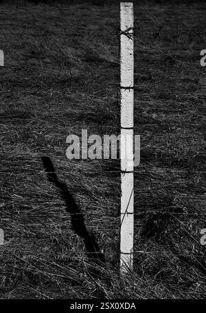 Weiße Säule mit Stacheldraht – Ein Symbol für Schutz. Einfarbige Details. Stockfoto