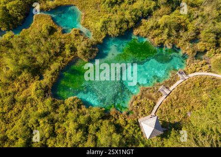 Blick von oben auf die Zelenci-Quellen im Sommer in Slowenien Stockfoto
