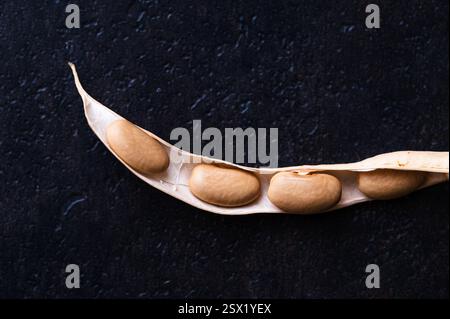 Nahaufnahme einer getrockneten grünen Bohnenschote, die aufgebrochen ist, um die Bohnen zu enthüllen, schwarzer Hintergrund Stockfoto