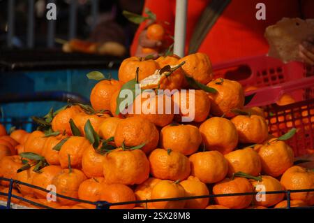 Ein lebhafter Obststand auf einem thailändischen Markt mit frischen Orangen, die an einem sonnigen Tag Thailands exotische Produkte auf dem Straßenmarkt präsentieren Stockfoto