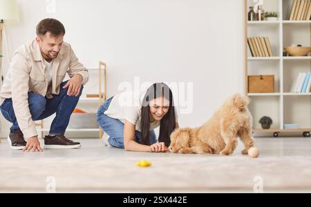 Familienpaar Trainiert Und Spielt Mit Hund Zu Hause Stockfoto