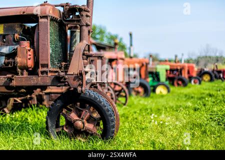 Reihen alter Traktoren werden auf einem Feld geparkt. Der erste Traktor ist grün und der zweite rot Stockfoto