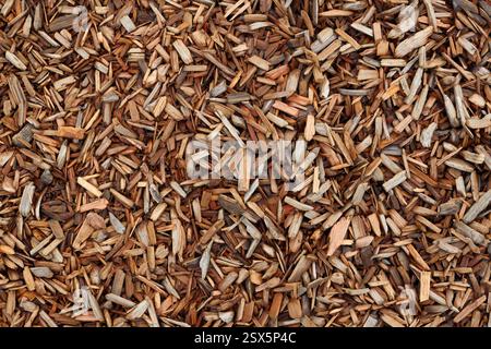 Ein Haufen Holzspäne auf dem Boden. Stockfoto