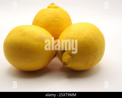 Isolierte Nahaufnahme von drei Zitronenfrüchten (Citrus x Limone) auf weißem Hintergrund. Konzept: Zutaten, gesunde Ernährung, Kochen, Stockfoto
