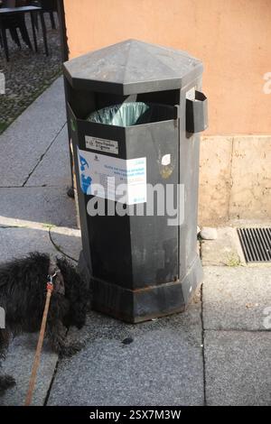 Cremona, Italien 9. Februar 2025 Schwarzer öffentlicher Mülleimer mit einigen Aufklebern, in Cremona, Italien, mit einem schwarzen Hund, der vorbeifährt Stockfoto