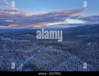 Riesige Waldflächen, mit Schnee bedeckter Mischwald, prägen die Landschaft zwischen Szklarska Poreba und Bad Flinsberg am Fuße des Riesengebirges Stockfoto