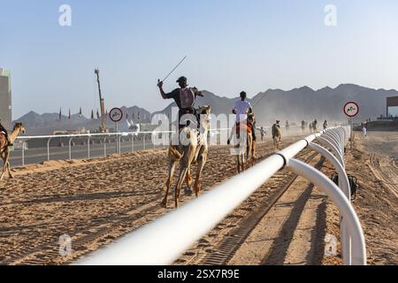 Kameljockeys fahren für den Al Ula Camel Cup im Mughayra Heritage Sports Village, Al Ula, Saudi-Arabien, Asien Stockfoto