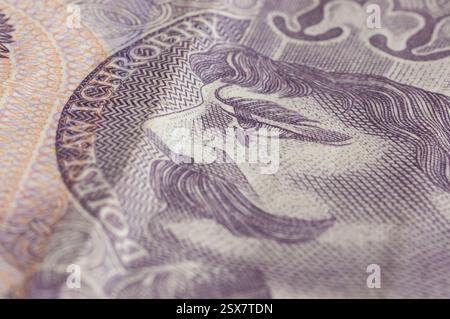 Polnisches Geld. Banknoten polnischer Zloty.Hintergrund. Polnische Nationalbank. Papiergeld. Einsparungen. Inflation in Polen. Unternehmen in Polen. Polnische Öko Stockfoto