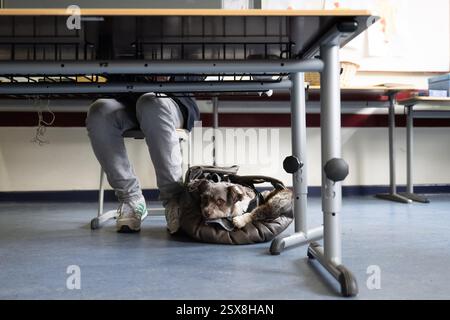 Berlin, Deutschland. Februar 2025. Ein Mann sitzt in seinem Wahllokal neben seinem Hund Jogi, während er seine Stimme abgibt. Quelle: Christophe Gateau/dpa/Alamy Live News Stockfoto