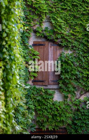 Charmante Holzläden umgeben von üppigem Grün in der Provence Stockfoto