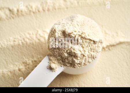 Molkenproteinpulver im Messlöffel Stockfoto