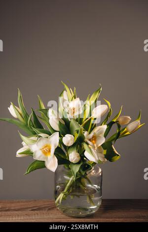 Strauß weißer Tulpen in einer transparenten Glasvase. Innenausstattung. Florale ästhetische Komposition. Komposition mit Kopierraum. Stockfoto