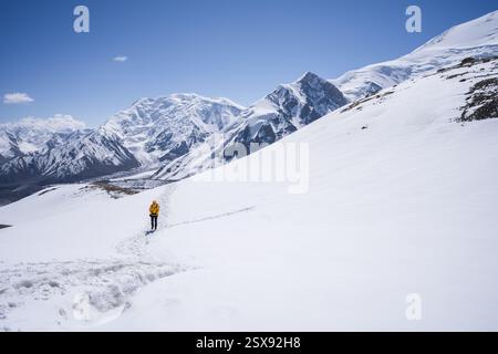 Frau, die den Weg durch den Schnee in großer Höhe mit riesigen Bergen umgibt, Pamir. Stockfoto