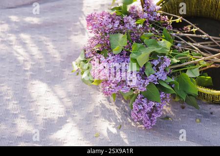 Schöne Fliederblüten im weichen Sonnenlicht auf einem gestrickten Stoffhintergrund, romantische Frühlingsblumenkomposition, Natur und saisonale Frische. Stockfoto