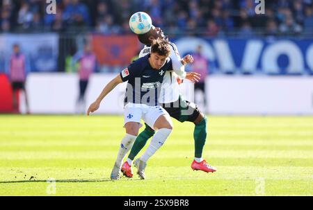 Darmstadt, Deutschland. Februar 2025. 23.02.2025, xdcx, Fussball 2. Bundesliga, SV Darmstadt 98 - FC Schalke 04, emonline, emspor, despor, v.l., Guillermo Bueno Lopez (SV Darmstadt 98), Christopher Antwi-Adjei (FC Schalke 04) DFL/DFB-VORSCHRIFTEN VERBIETEN JEDE VERWENDUNG VON FOTOGRAFIEN ALS BILDSEQUENZEN UND/ODER QUASI-VIDEO. Quelle: dpa/Alamy Live News Stockfoto